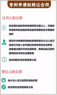 技术转让合同中的核心义务 从技术交付到市场推广的权责解析
